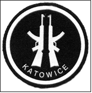 Рис. 13 katowice