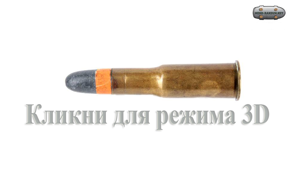 .577/.450 Martini Henry