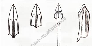 Общее и особенное в развитии вооружения населения лесостепного Алтая в раннем железном веке, О. С. Лихачева (Барнаул)