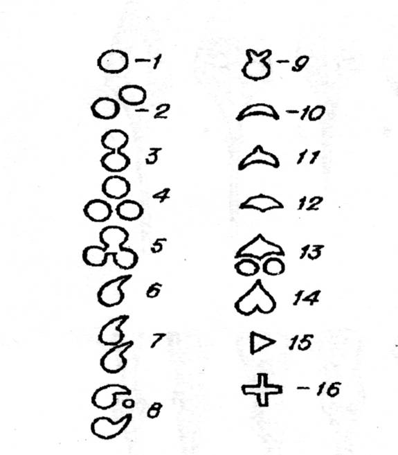 ef15ceb69633 (1).jpg