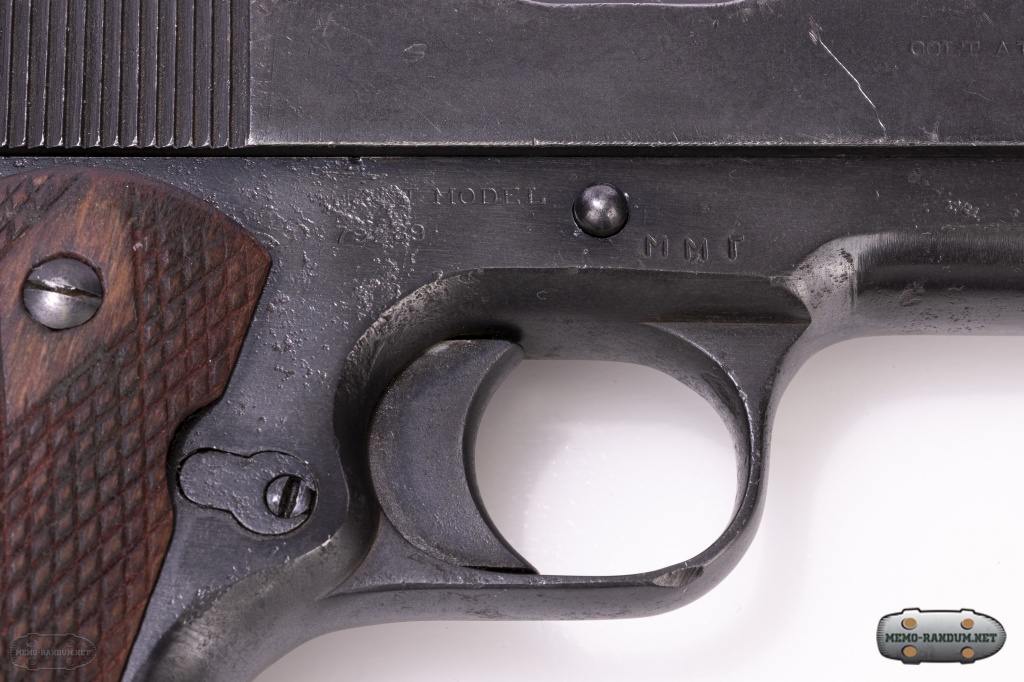 Government Model c79289