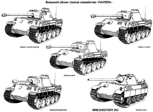1413459797_3-30.jpg