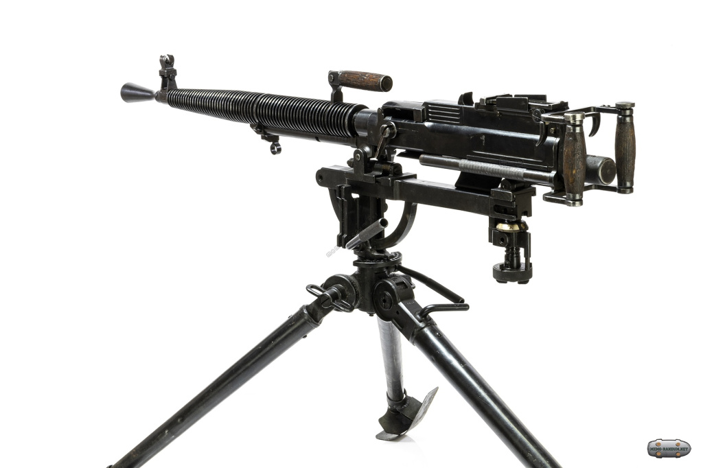 ДС39 Поздний