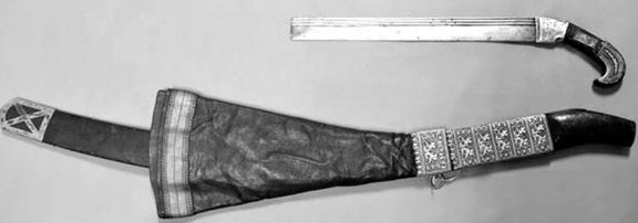 Рис. 8. Палаш (?) «кабиани» с ножнами. Грузия. XVIII – первая половина XIX вв. Инв. № 117/869 (ОЦОФ)