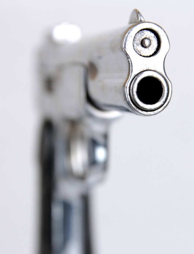 Browning 1900 chrome