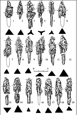 Рис. 7. Наконечники стрел каменской культуры: Бугры: 1–2 – м. 1; 3–19 – м. 6. 1–19 – железо, дерево