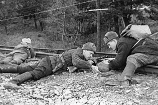 Партизанское движение в Ленинградской области в 1941–1944: рейдовая тактика партизанских формирований, Колотушкин В.Г. (Великий Новгород)