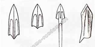 Общее и особенное в развитии вооружения населения лесостепного Алтая в раннем железном веке, О. С. Лихачева (Барнаул)