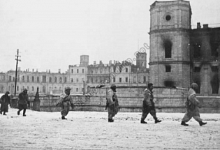 М.В. Кирпичникова (Санкт-Петербург) Оккупация Гатчины в 1941–1944 годах.  Судьба Императорской резиденции