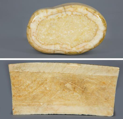 Ил. 8. Структура моржовой «кости», где в центре хорошо видна пульпа